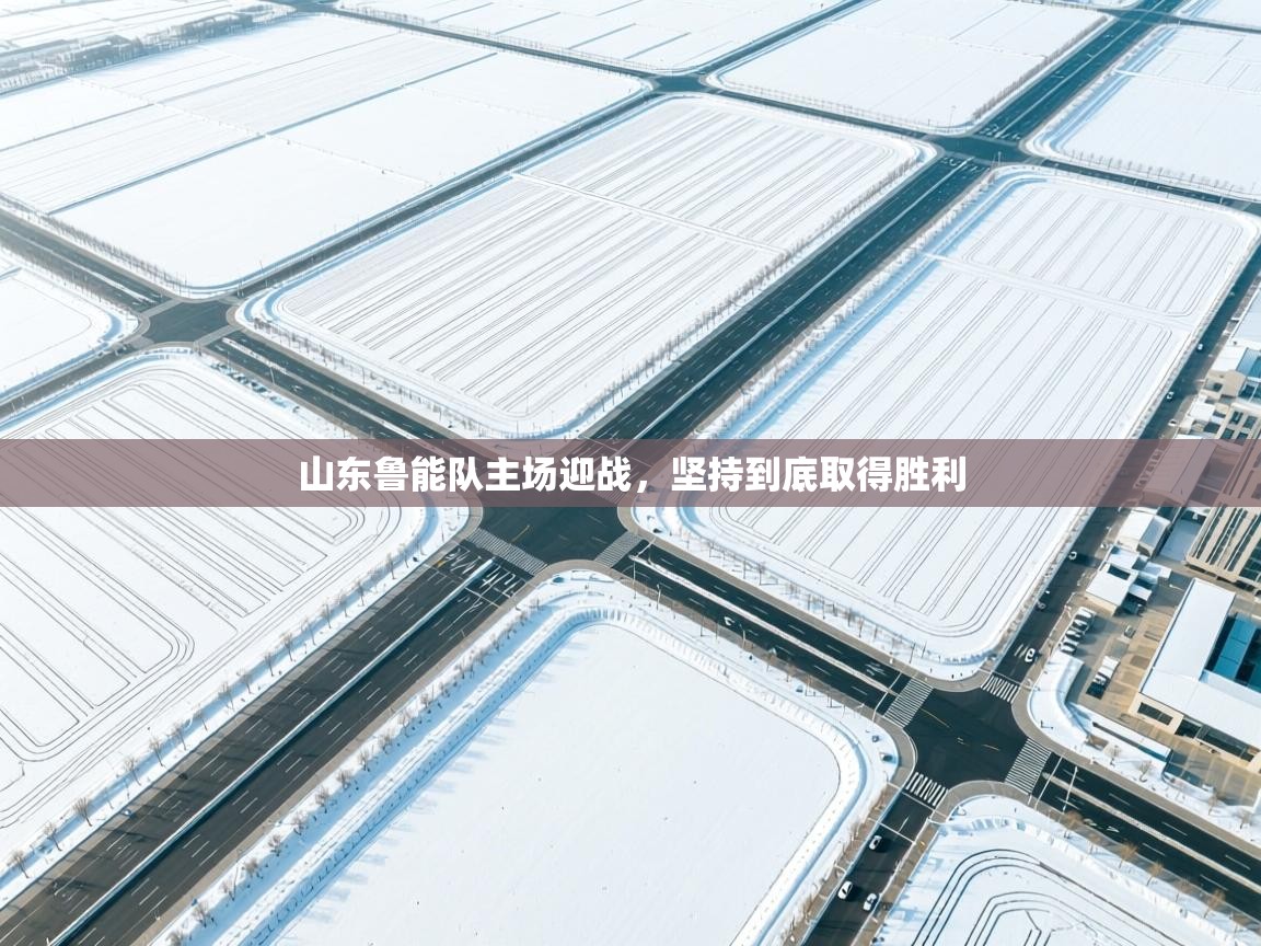 山东鲁能队主场迎战,坚持到底取得胜利 第1张