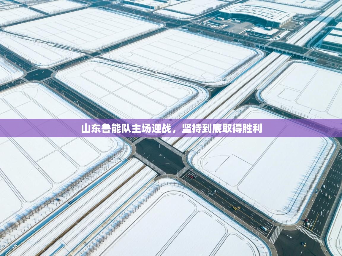 山东鲁能队主场迎战,坚持到底取得胜利 第2张