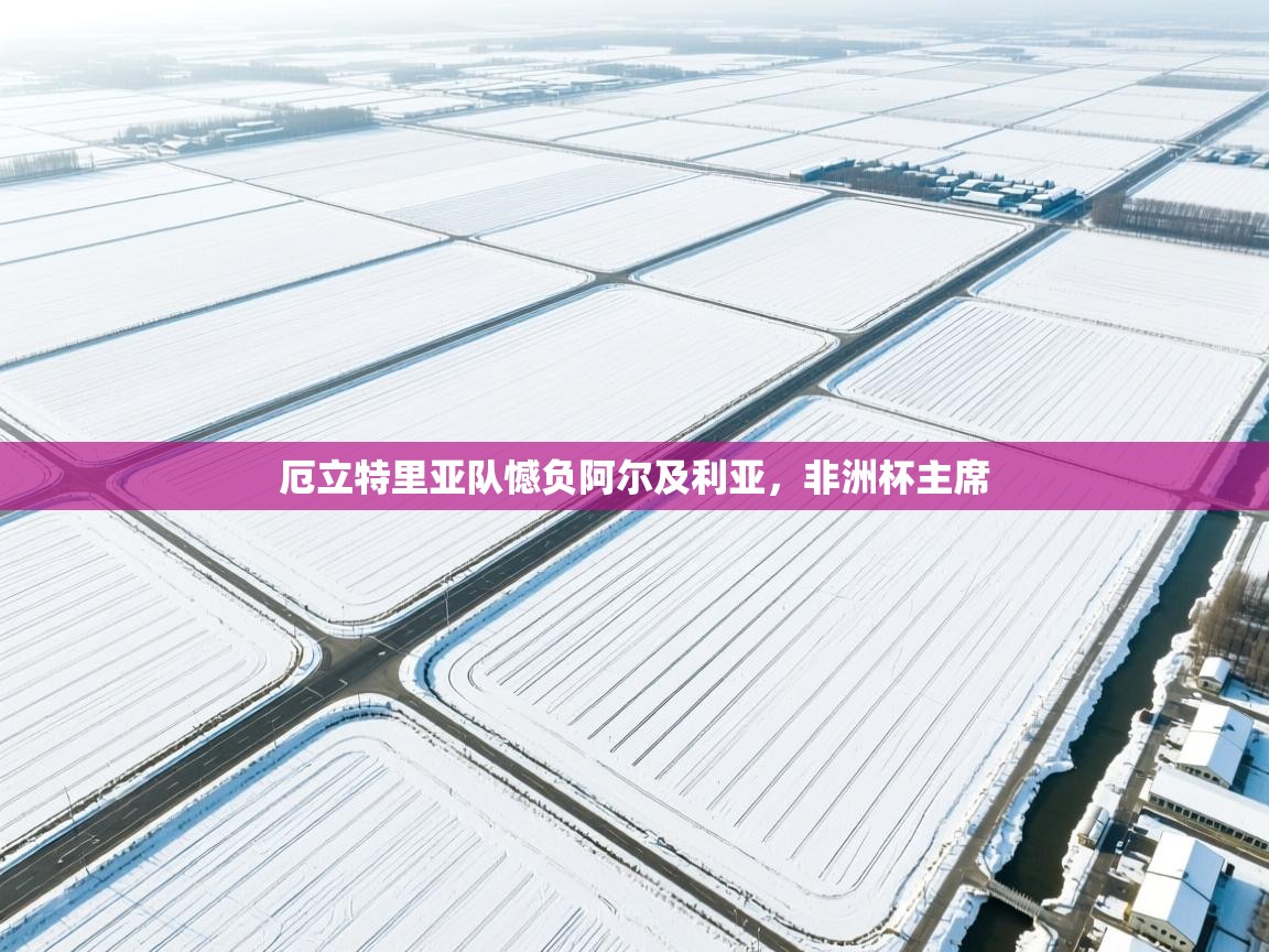 厄立特里亚队憾负阿尔及利亚，非洲杯主席