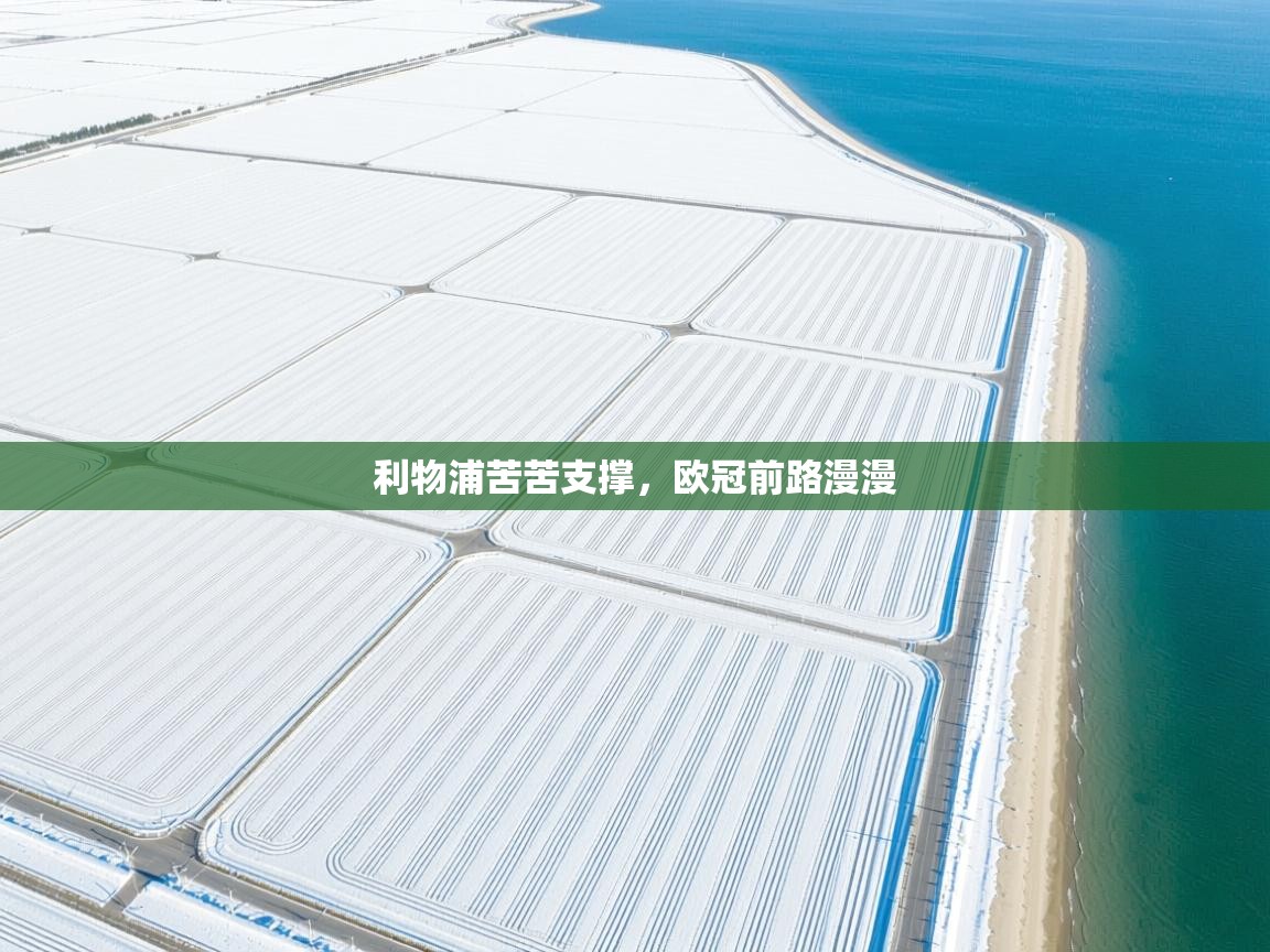 利物浦苦苦支撑，欧冠前路漫漫  第1张