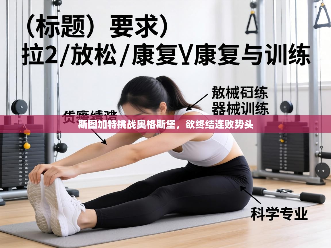 斯图加特挑战奥格斯堡，欲终结连败势头  第1张